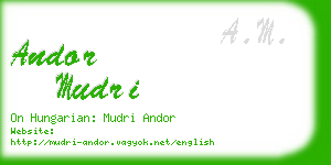 andor mudri business card